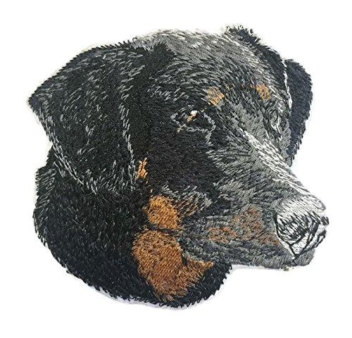 Custom embroidered Doberman-2 patch, showcasing intricate details and vibrant colors, perfect for iron-on or sew-on application.
