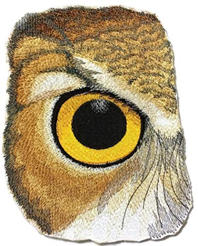 Eye of Owl embroidered patch featuring intricate details and vibrant colors, measuring 6.87 inches by 4.63 inches.