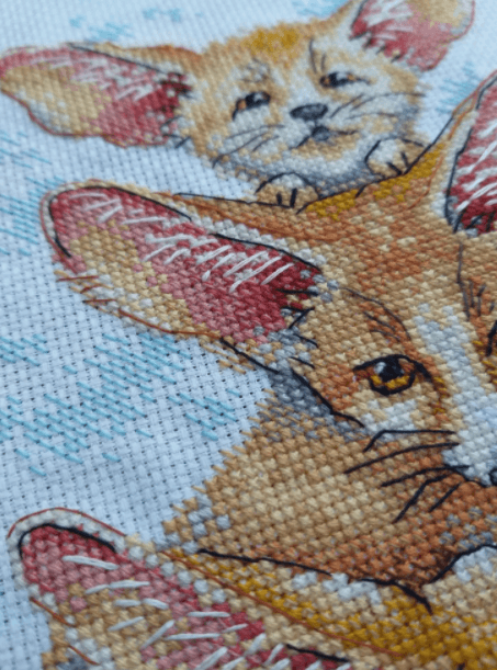 Fennec Fox Family SM-509 Counted Cross Stitch Kit with colorful threads and AIDA canvas.