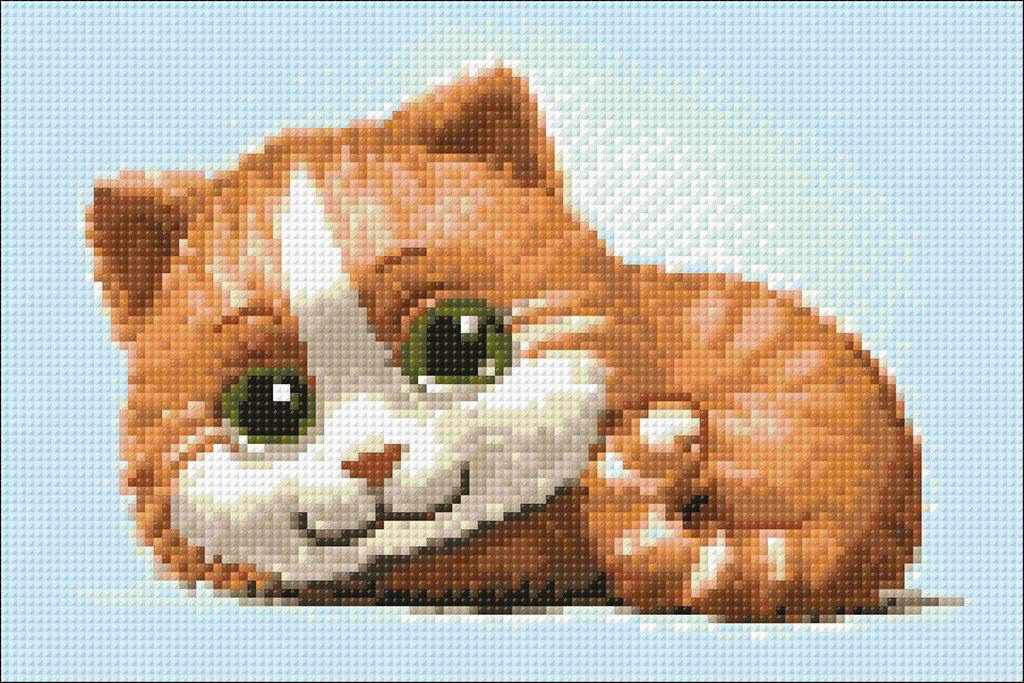 Ginger Cat WD194 Diamond Painting Kit featuring a self-adhesive canvas, square acrylic diamonds, and crafting tools in a beautifully designed package.
