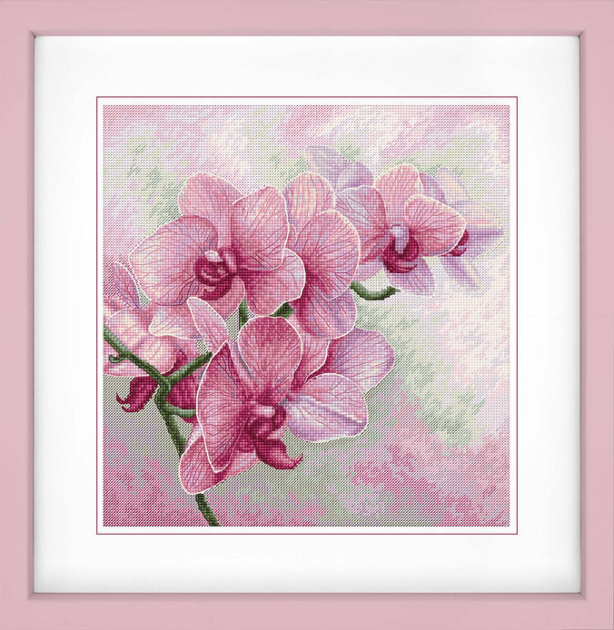 Graceful Orchids B7009L Counted Cross-Stitch Kit featuring vibrant threads, Aida canvas, and a needle for crafting.