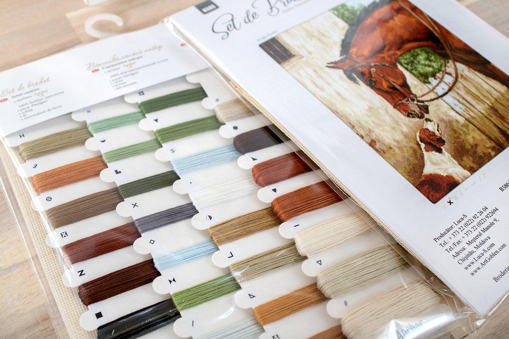 Hunter and Foxhound B580L Counted Cross-Stitch Kit with Aida canvas, Anchor threads, and needle, showcasing vibrant colors and intricate design.