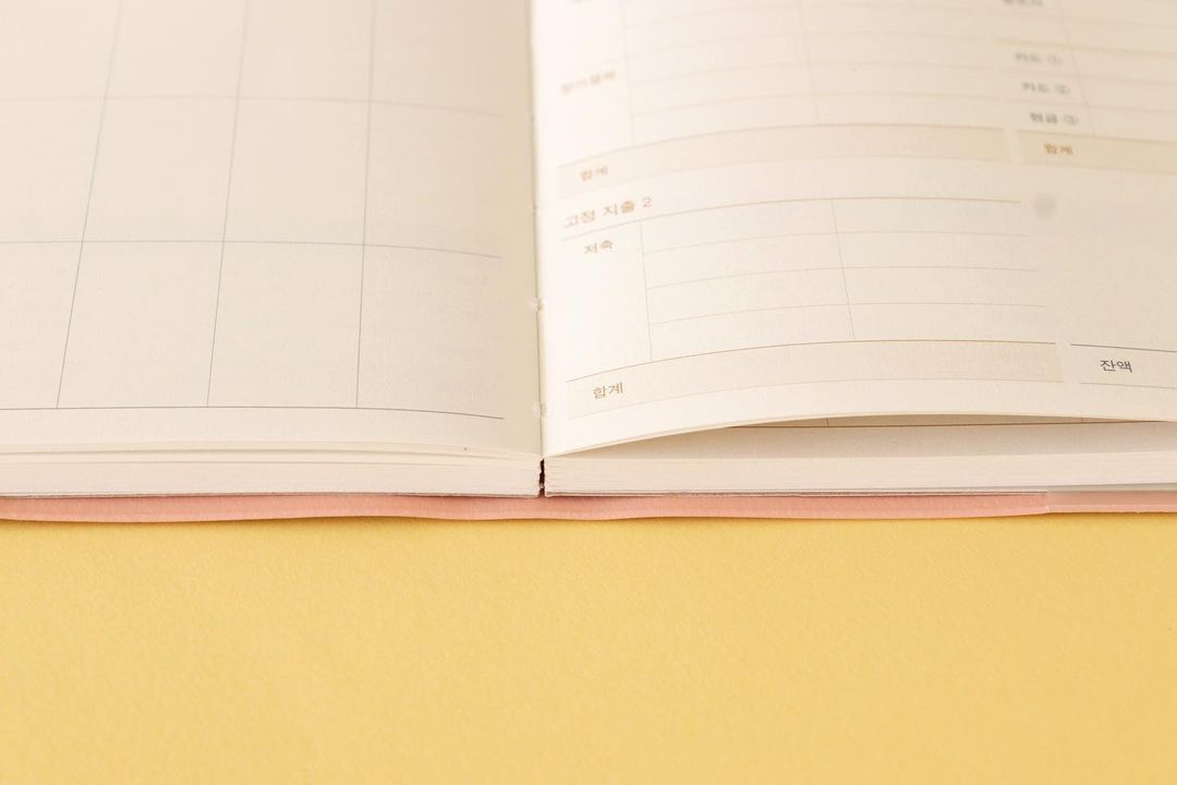 INDIGO SIMPLE CASH BOOK featuring a stylish cover and undated pages for tracking expenses over 12 months.