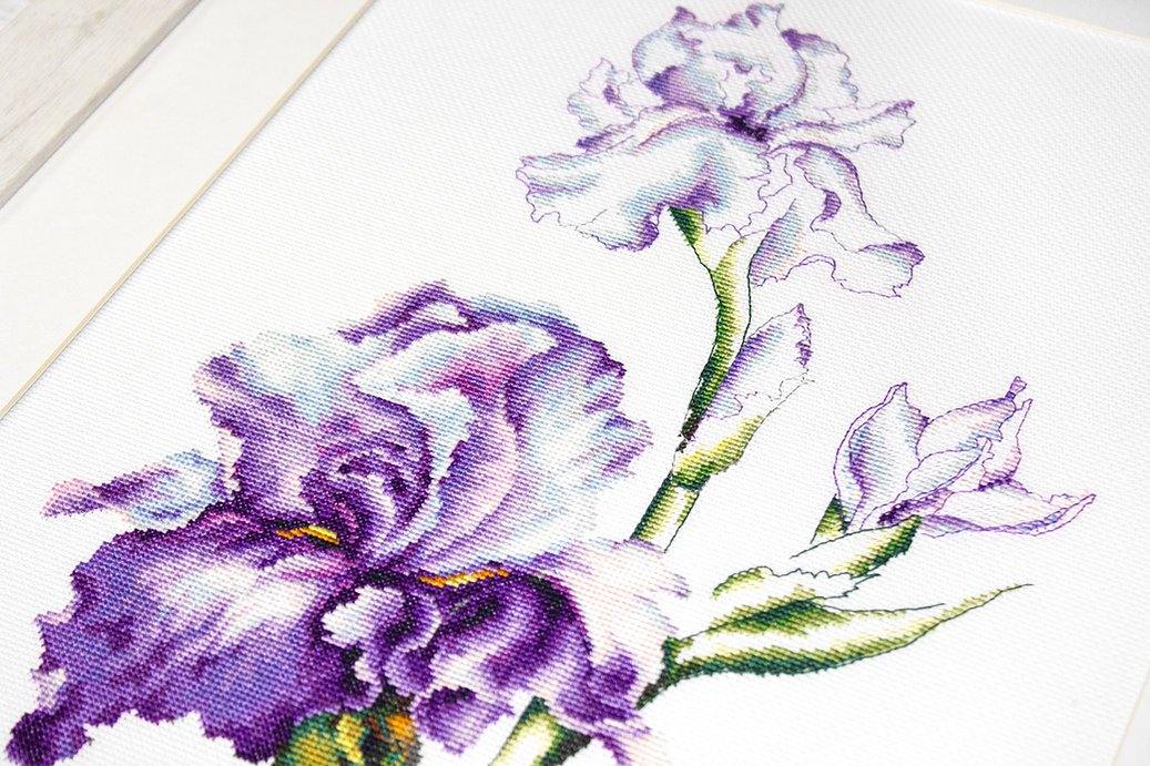 Irises B2251L Counted Cross-Stitch Kit featuring Aida canvas, Anchor threads, and needle for crafting.