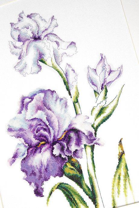 Irises B2251L Counted Cross-Stitch Kit featuring Aida canvas, Anchor threads, and needle for crafting.
