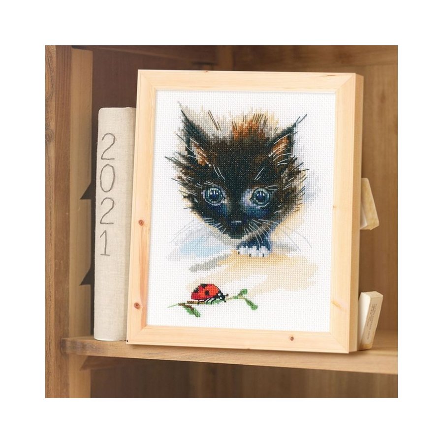 Ladybug and Super-Cat M826 Counted Cross Stitch Kit with colorful threads and Aida canvas.