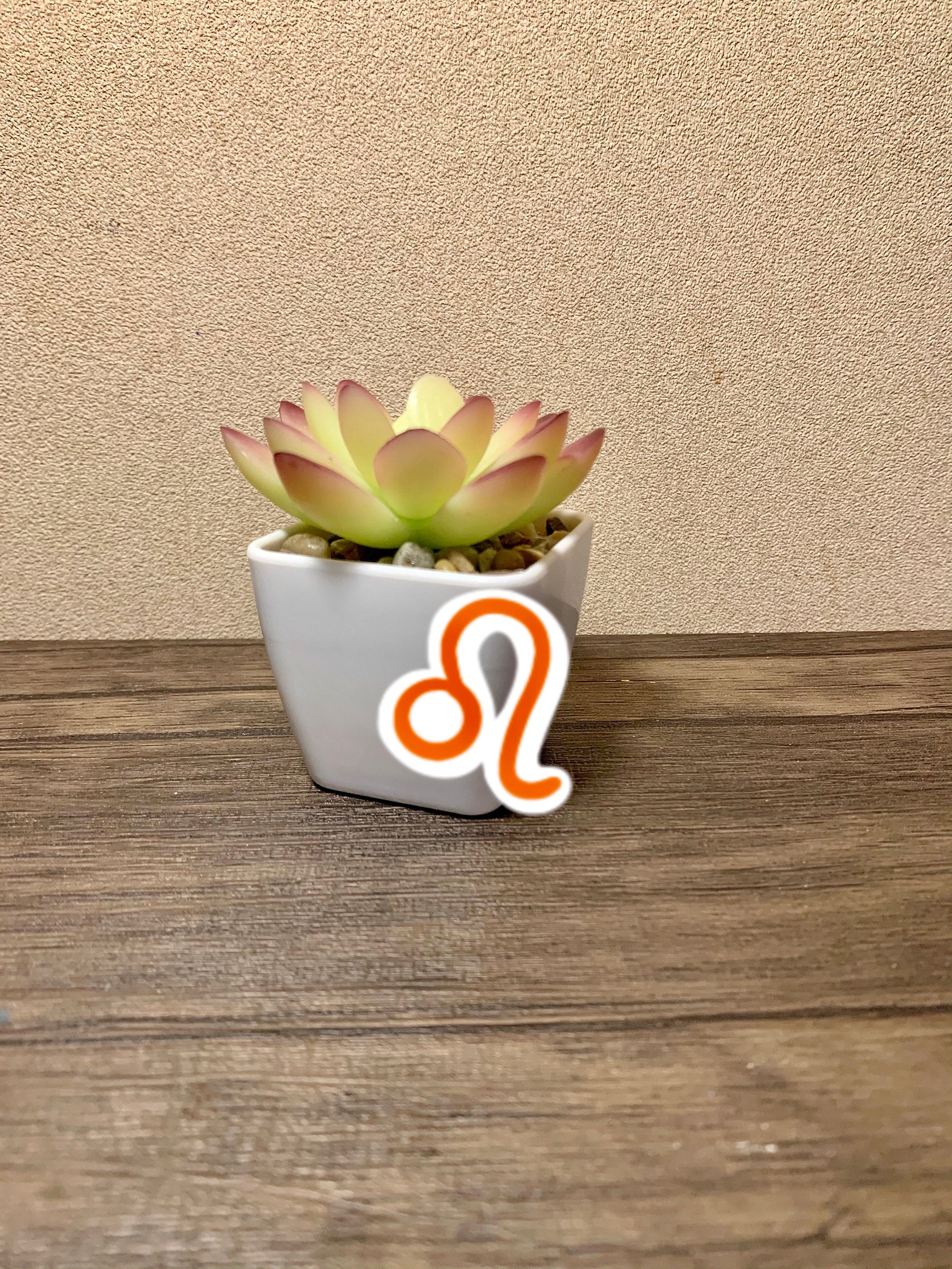 A colorful Leo Zodiac Sticker Pack featuring four unique stickers including a lion, constellation, symbol, and Leo wording, perfect for personalizing items.