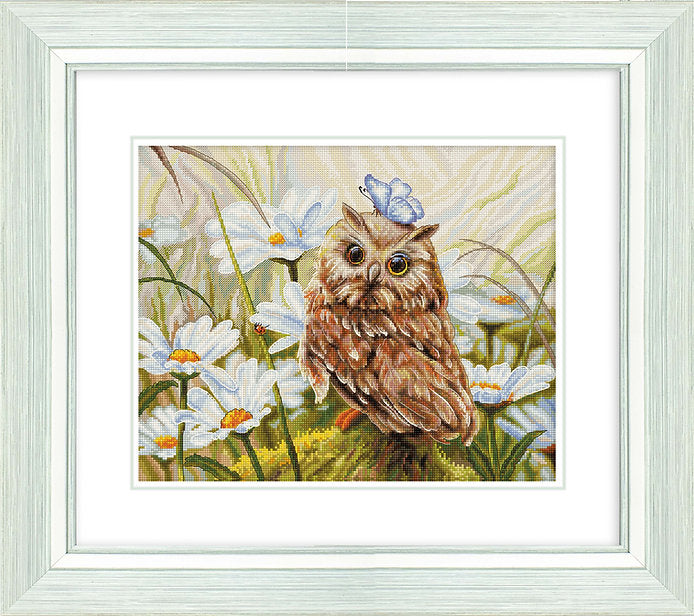 Lucky Owl B7011L Counted Cross-Stitch Kit with colorful threads and Aida canvas.