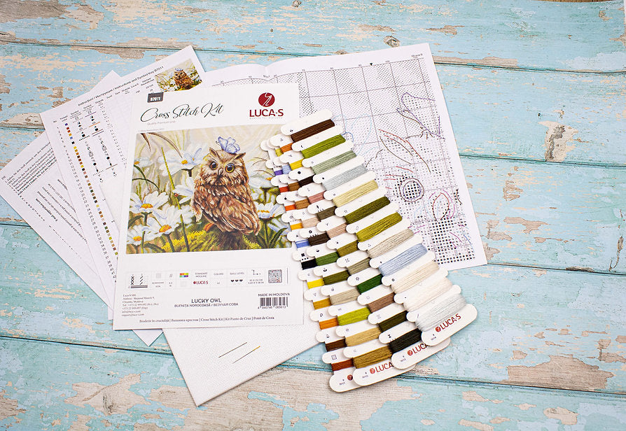 Lucky Owl B7011L Counted Cross-Stitch Kit with colorful threads and Aida canvas.