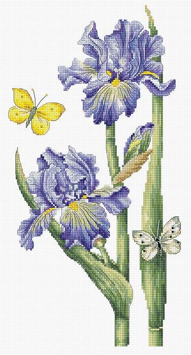 May Iris B7001L Counted Cross-Stitch Kit featuring Aida canvas, vibrant threads, and needle, designed by Janneke Brinkman-Salentijn.