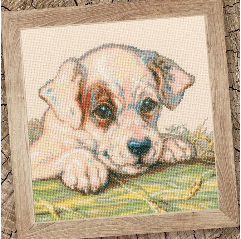 Motherhood Puppy M711 Counted Cross Stitch Kit featuring Aida fabric, DMC threads, and a charming puppy design.