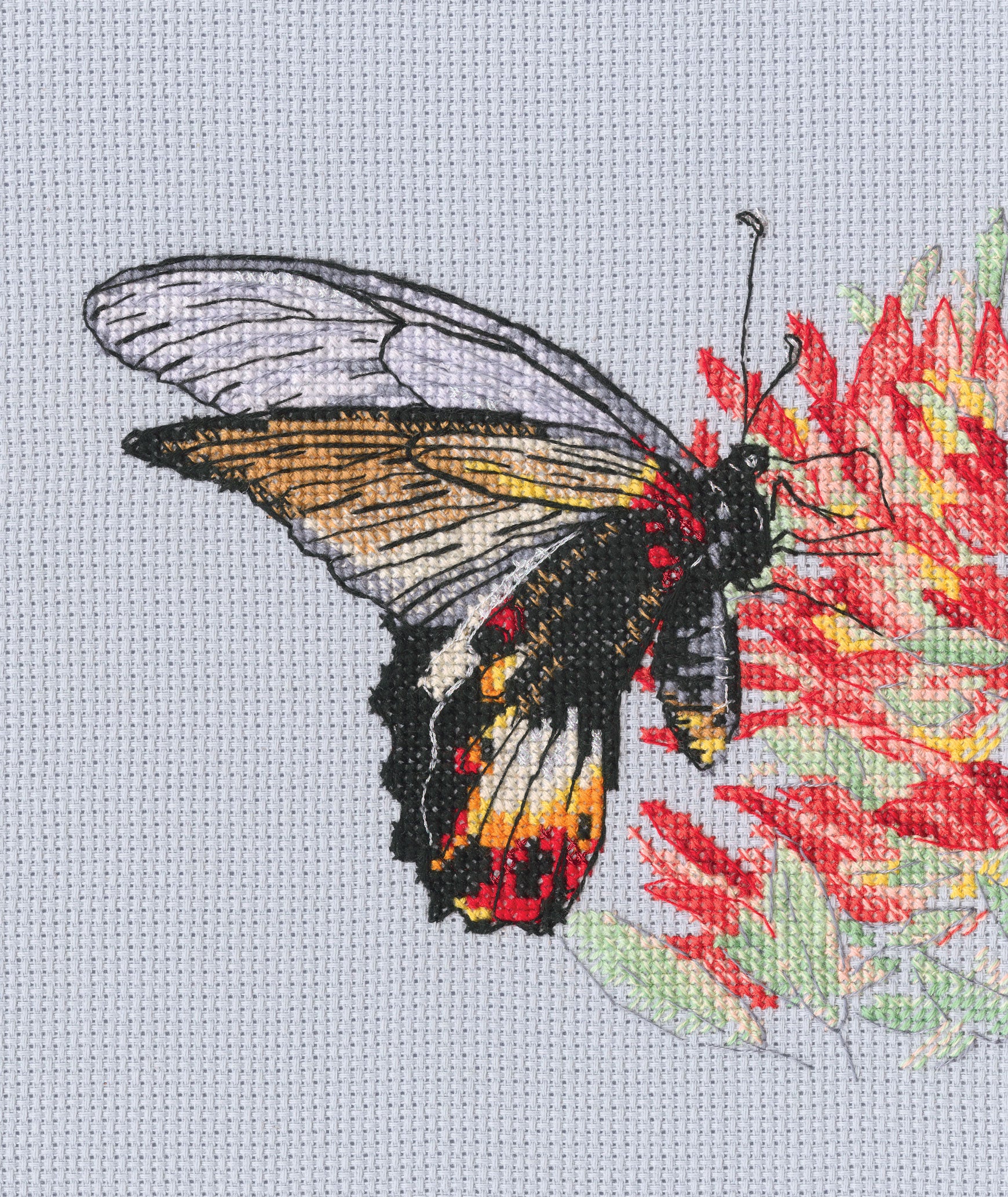 Nectar for Butterfly M755 Counted Cross Stitch Kit featuring Aida fabric, DMC threads, and a butterfly design chart.