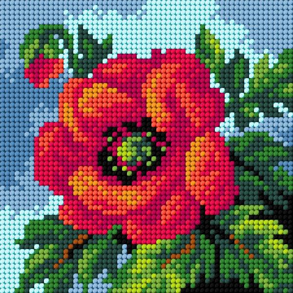 Needlepoint canvas featuring a vibrant Poppy design, measuring 15x15 cm, printed on durable Zweigart canvas.