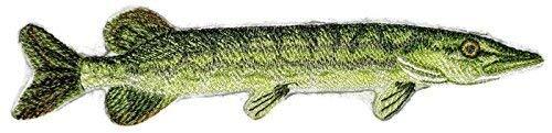 Northern Pike Fish embroidered patch, measuring 6.86" x 2", showcasing intricate embroidery on a durable cotton base.