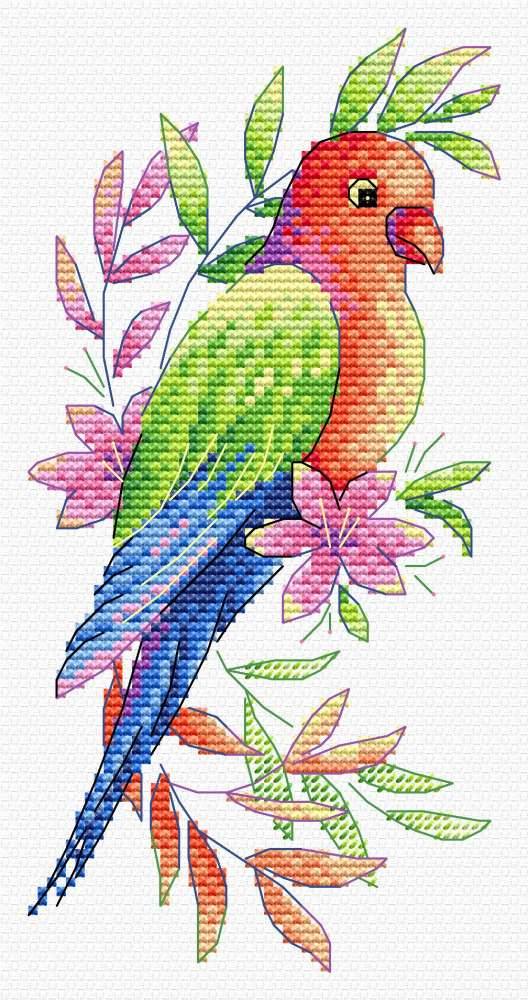 Parrot SV-535 Cross Stitch Kit featuring colorful threads, needle, and soluble canvas.