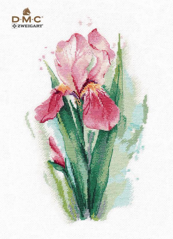 Pink Iris 1424 Counted Cross Stitch Kit featuring vibrant threads and Zweigart canvas.