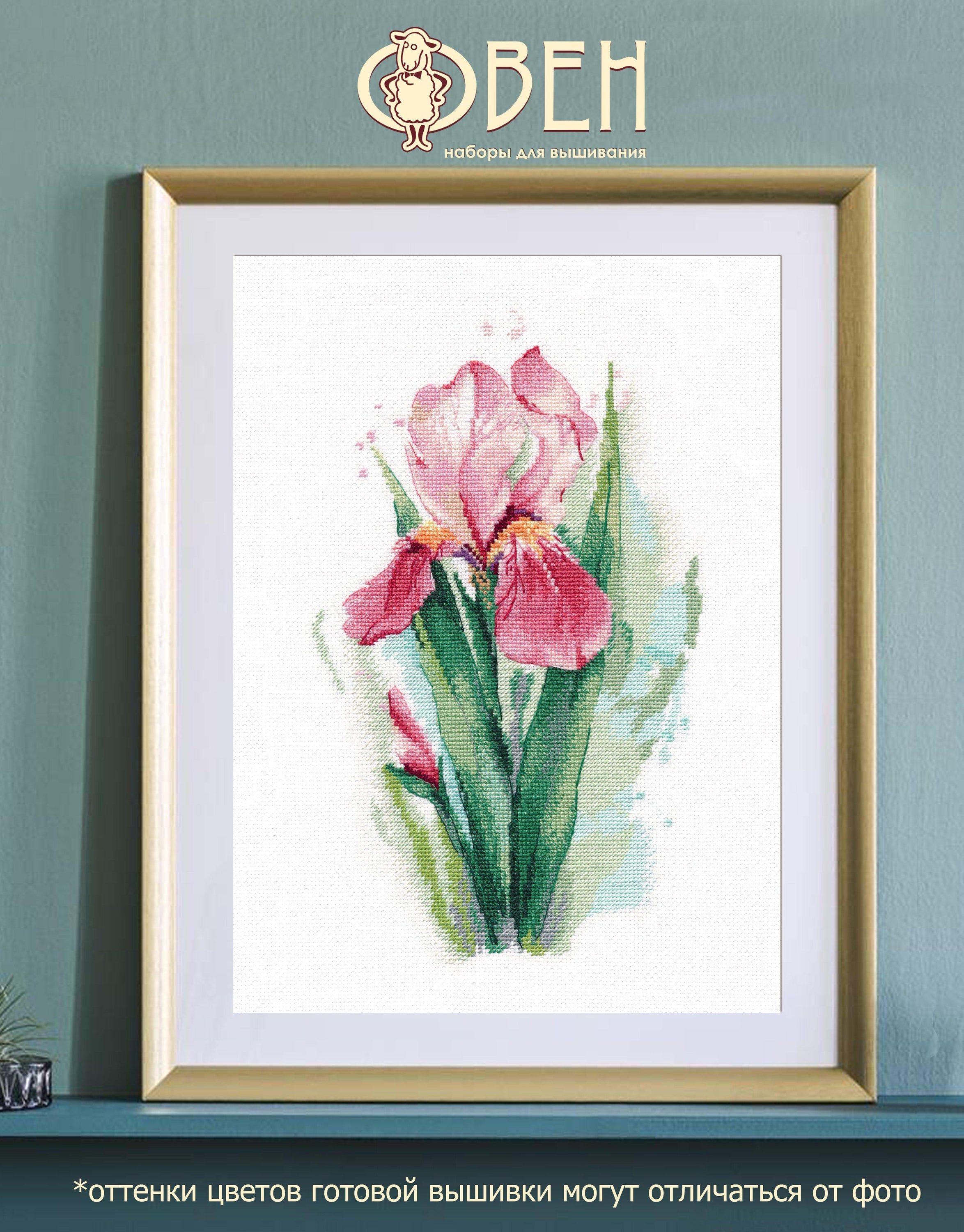 Pink Iris 1424 Counted Cross Stitch Kit featuring vibrant threads and Zweigart canvas.