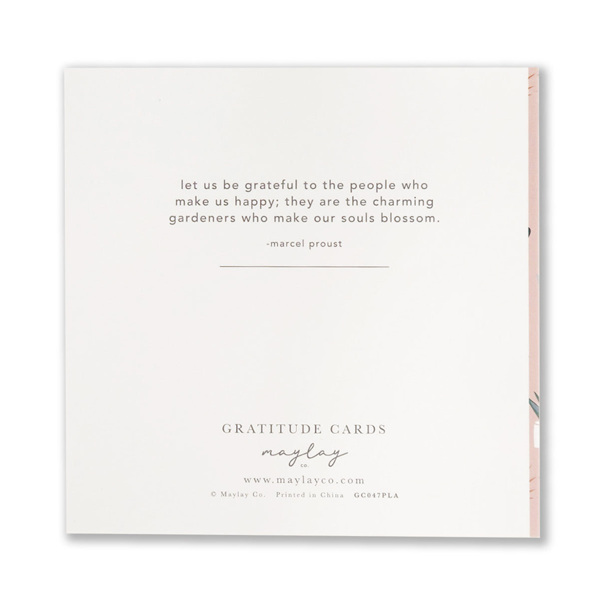 A set of Plant Lover Gratitude Greeting Cards featuring gold foil stamped designs and kraft envelopes, beautifully crafted for spreading positivity.