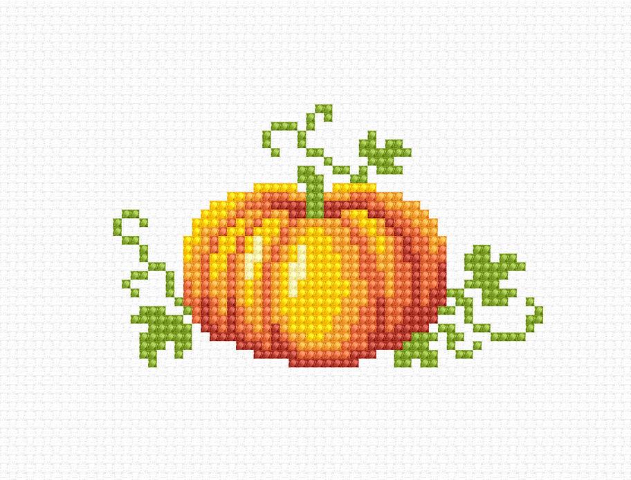 Pumpkin B097L Counted Cross-Stitch Kit featuring Aida canvas, Anchor threads, and needle with instructions.