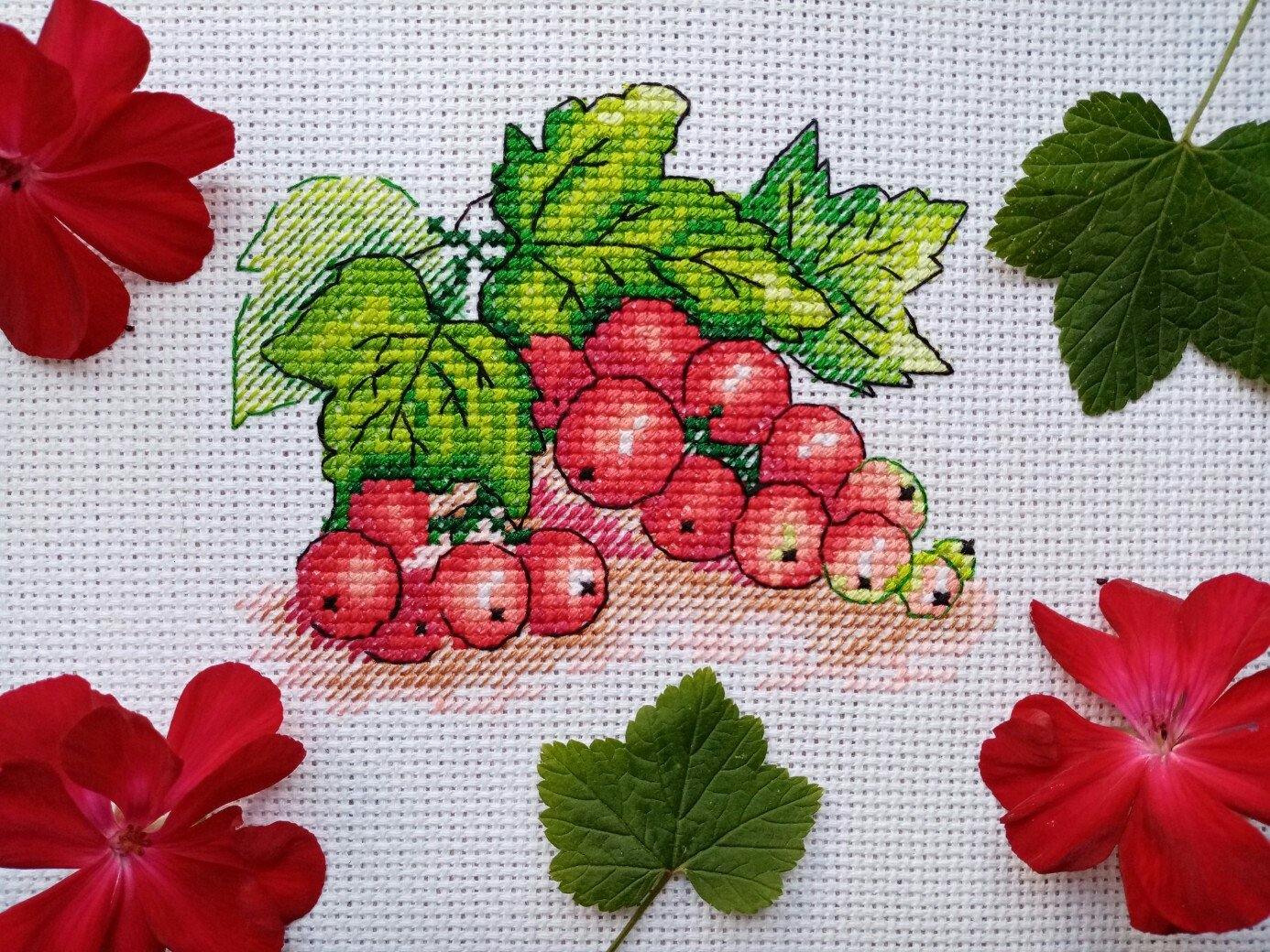 Red Currant SM-515 Counted Cross Stitch Kit with AIDA canvas and colorful threads.