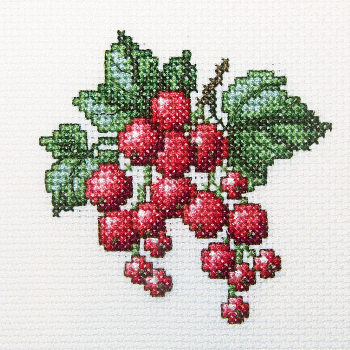 Redcurrant H252 Counted Cross Stitch Kit featuring white Aida canvas, DMC threads in 10 colors, and included needle and instructions.