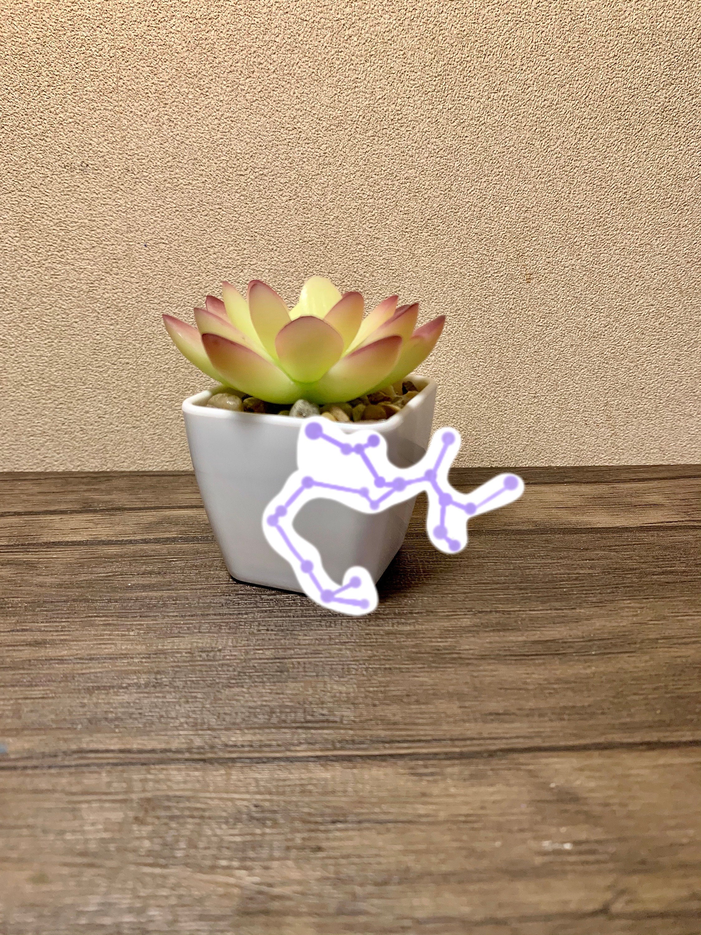 A colorful Sagittarius Zodiac Sticker Pack featuring four unique designs including the Sagittarius symbol, constellation, and bow and arrow.