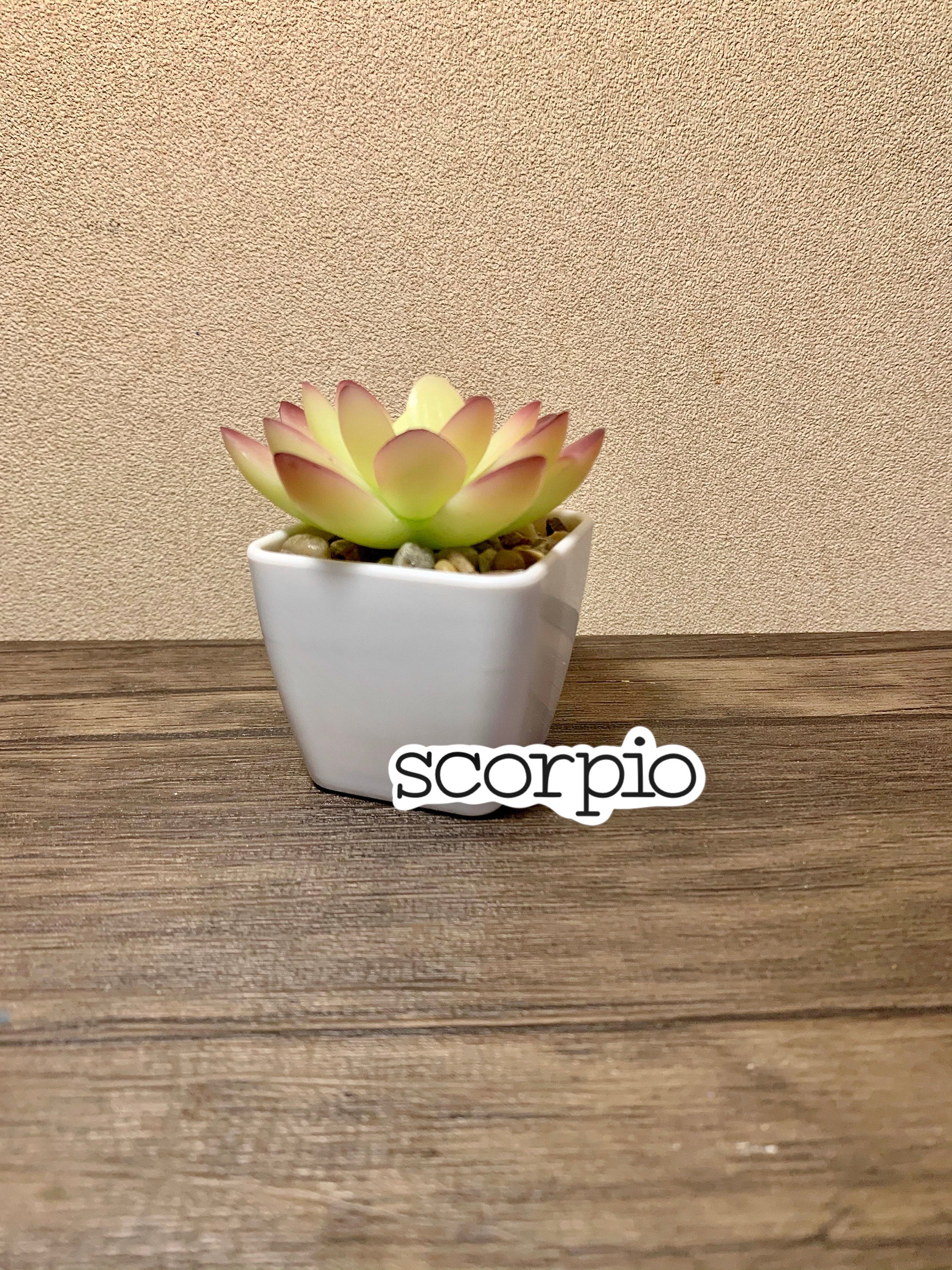 A colorful Scorpio Zodiac Sticker Pack featuring four unique designs including the Scorpio symbol, constellation, and scorpion.