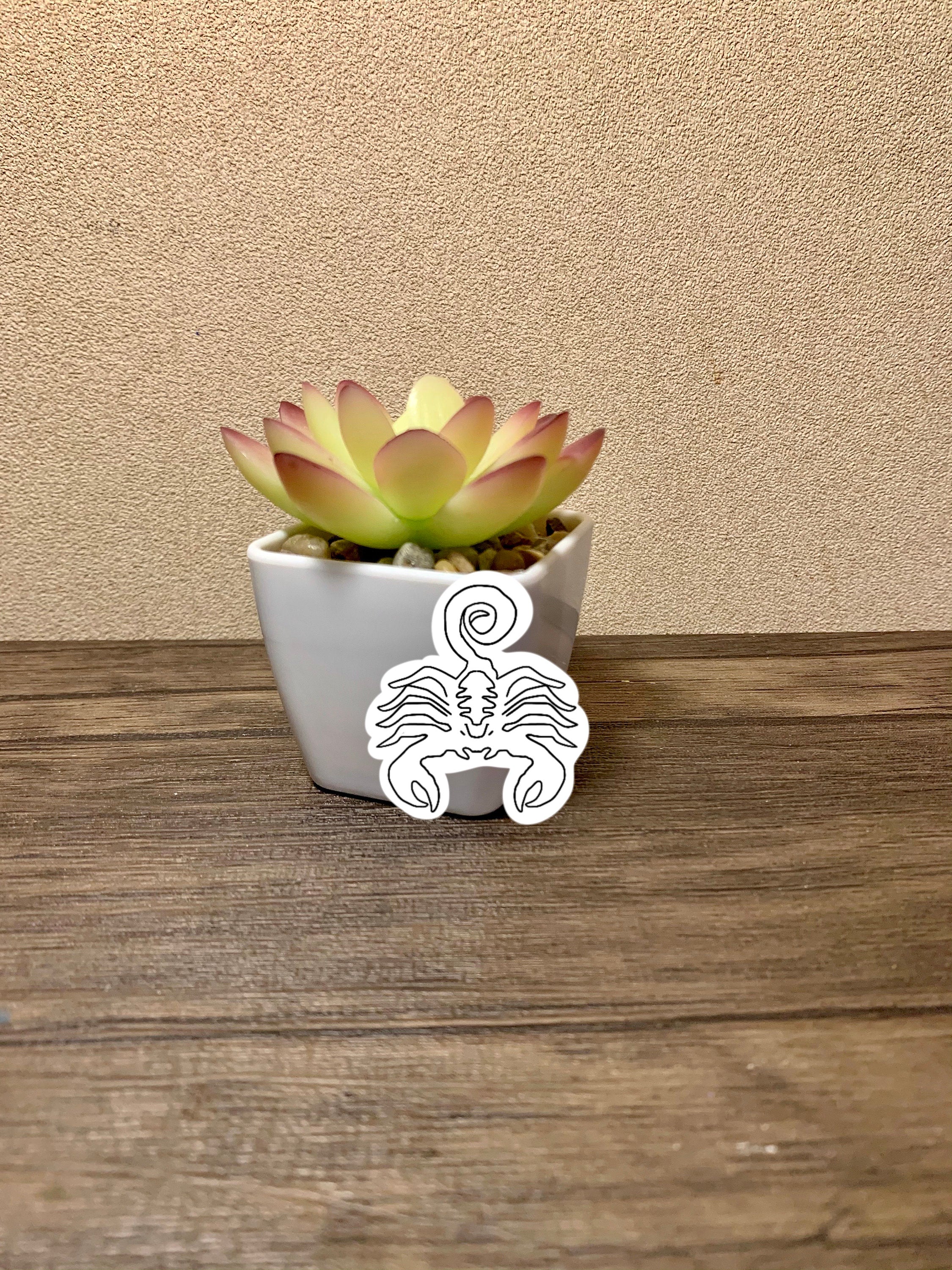 A colorful Scorpio Zodiac Sticker Pack featuring four unique designs including the Scorpio symbol, constellation, and scorpion.