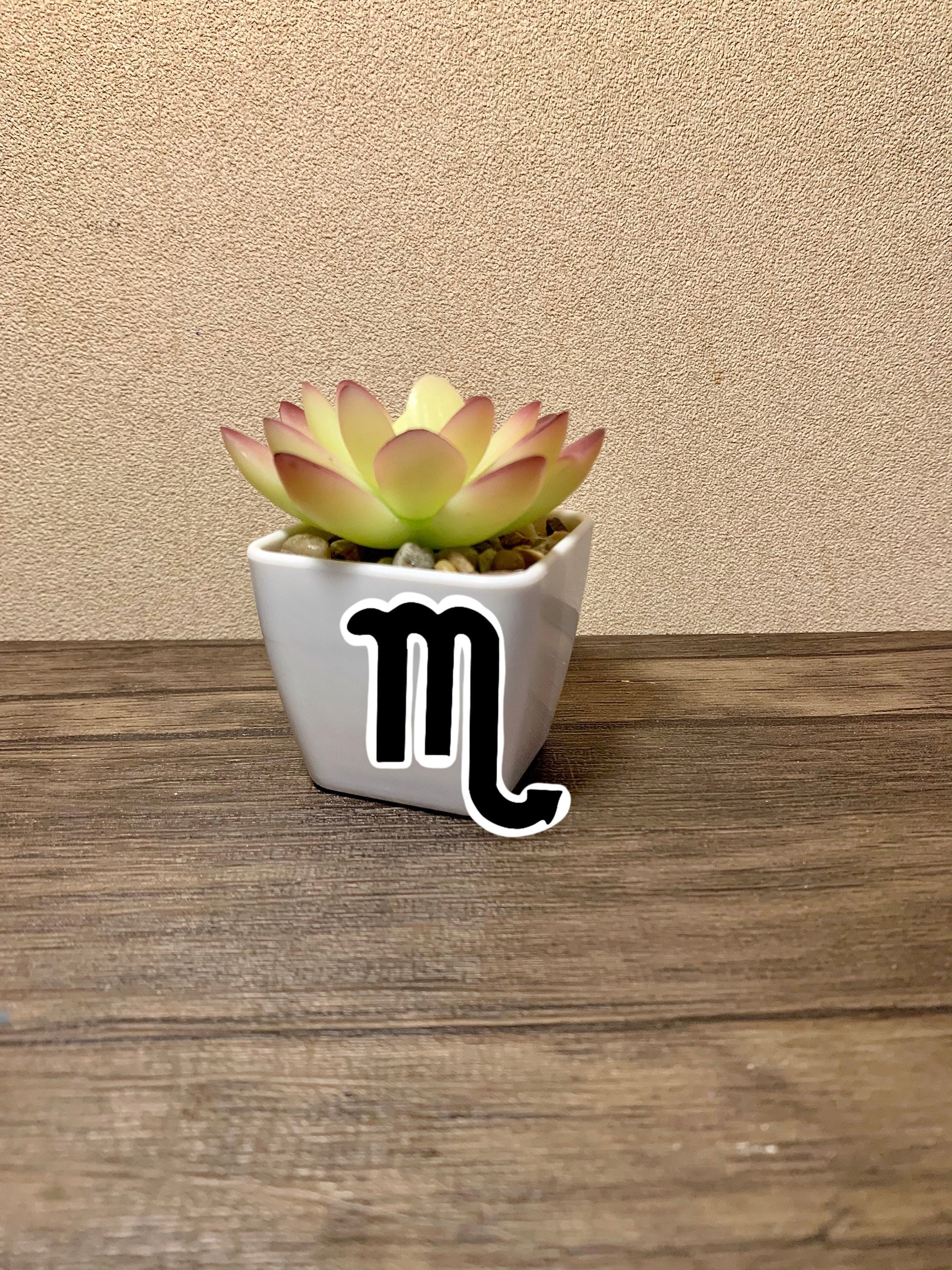 A colorful Scorpio Zodiac Sticker Pack featuring four unique designs including the Scorpio symbol, constellation, and scorpion.