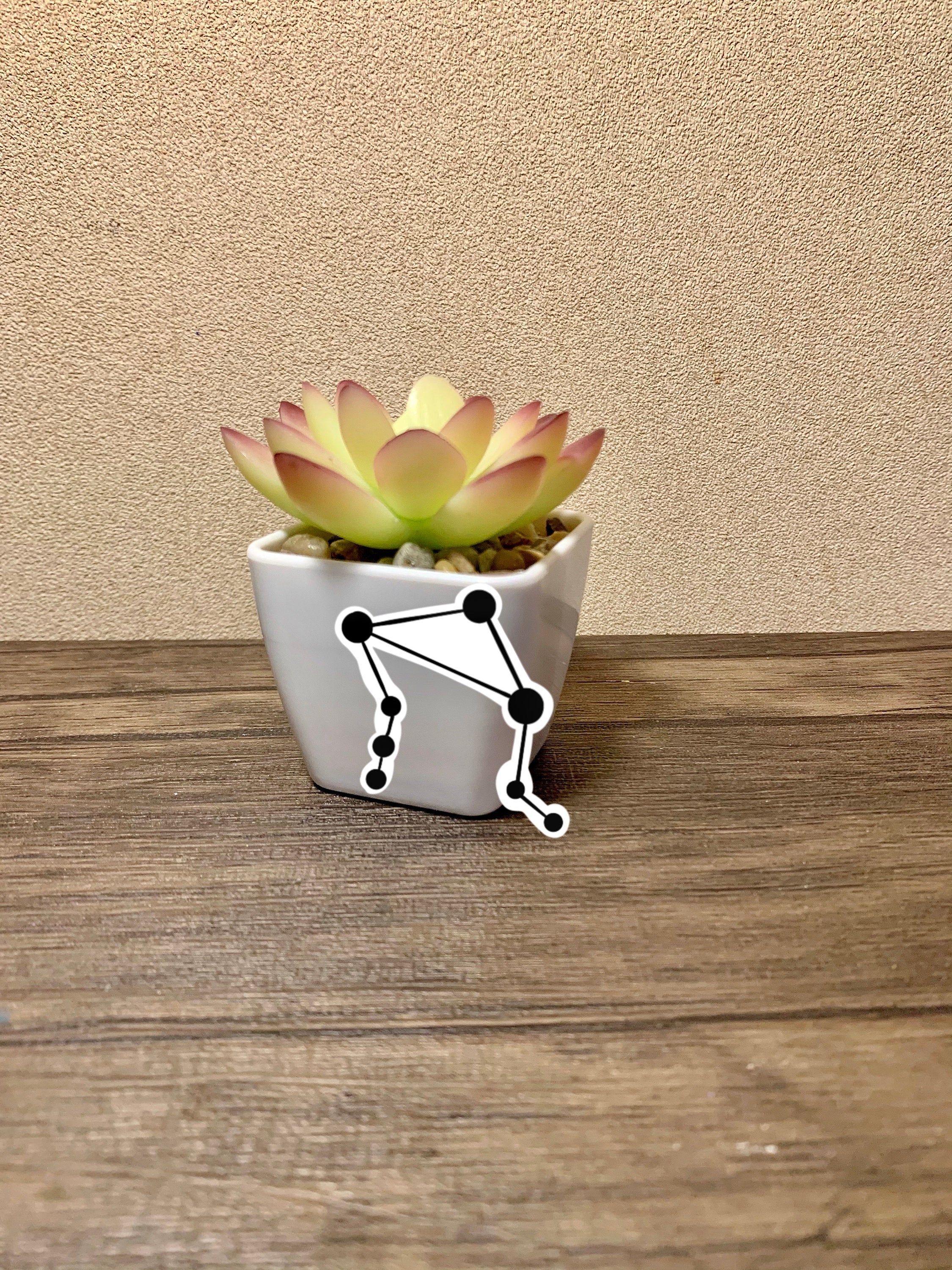 A colorful Scorpio Zodiac Sticker Pack featuring four unique designs including the Scorpio symbol, constellation, and scorpion.