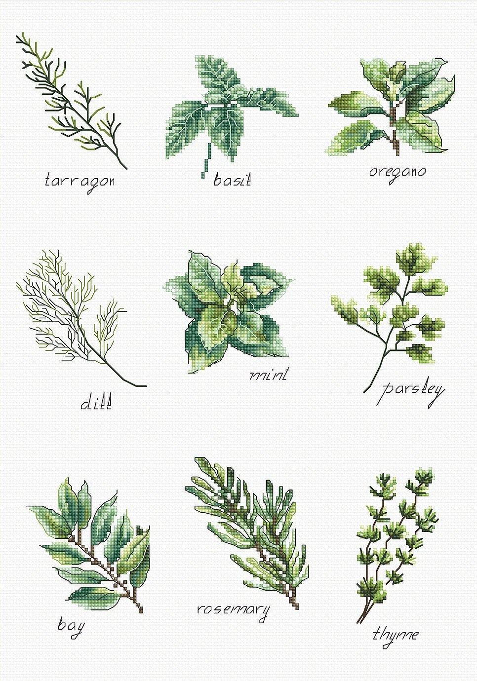 Spices and Herbs B2345L Counted Cross-Stitch Kit with colorful threads and Aida canvas.