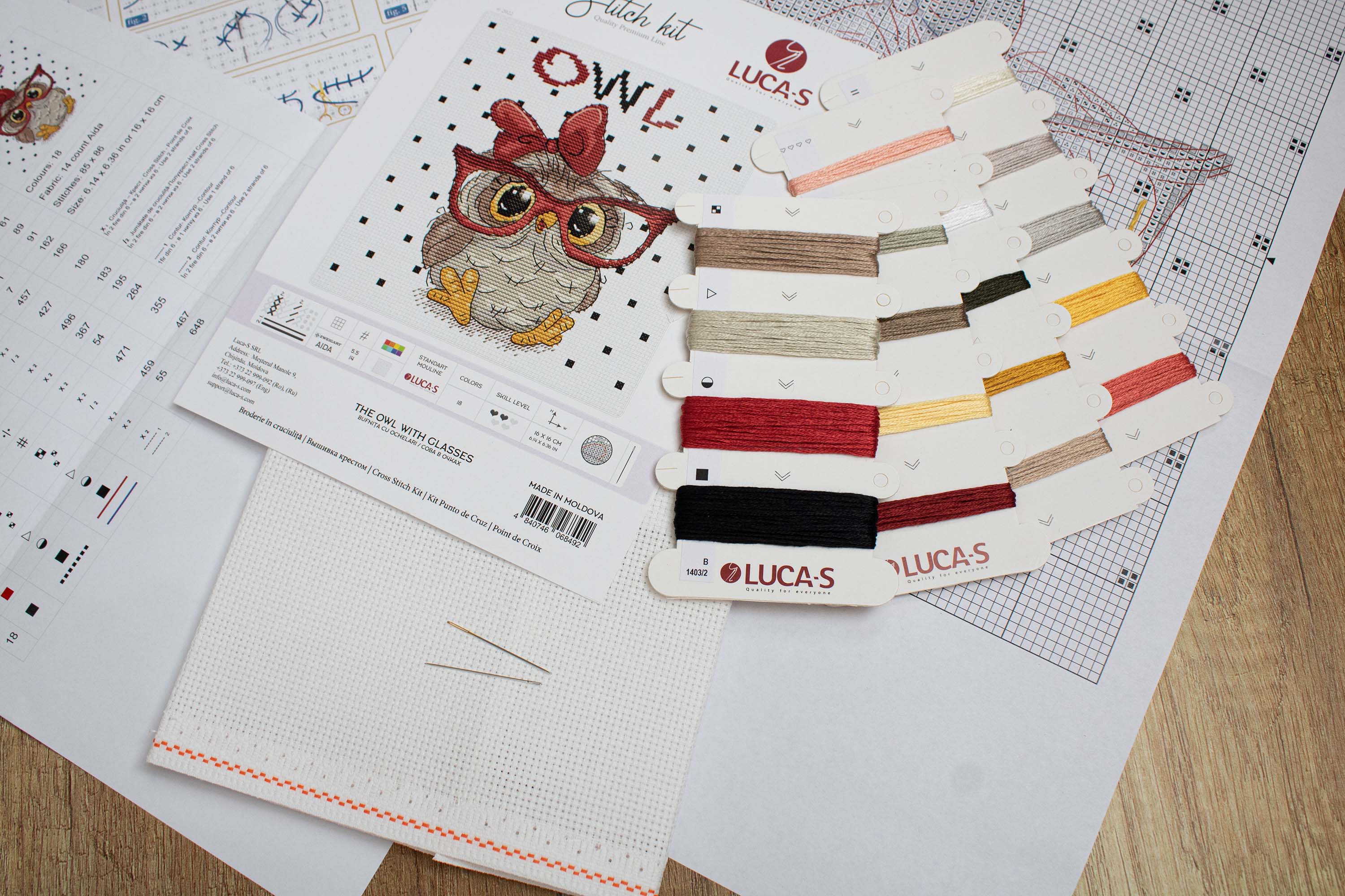 The Owl With Glasses B1403L Counted Cross-Stitch Kit featuring vibrant threads and a detailed owl design on Zw.Aida canvas.