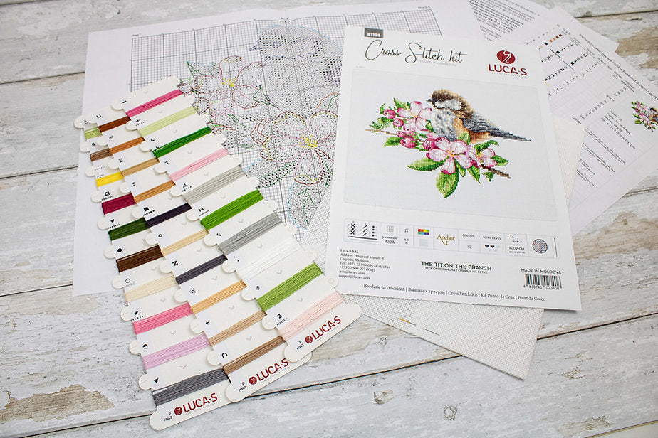 The tit on the branch B1194L Counted Cross-Stitch Kit featuring colorful threads and Aida canvas.