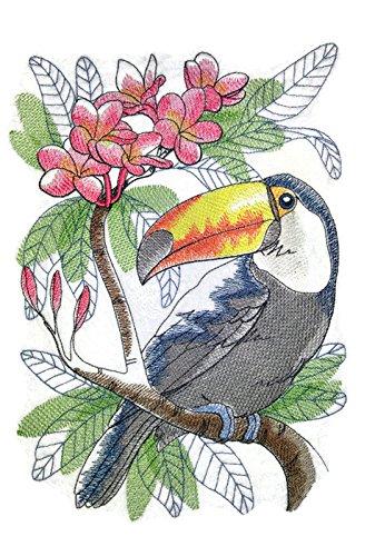 Tropical Toucan Sketch embroidered patch showcasing vibrant colors and intricate details, perfect for iron-on or sewing applications.