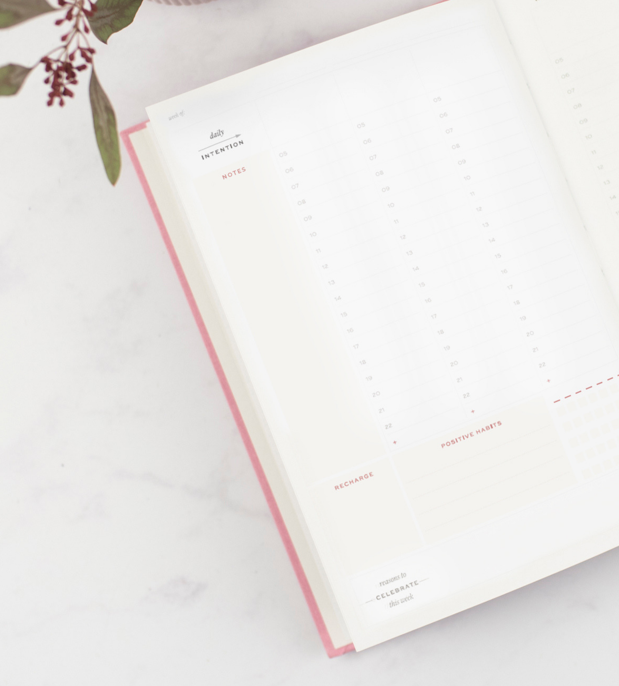 Undated Weekly Ponderlily Planner in Charcoal, featuring eco-friendly materials and elegant design.