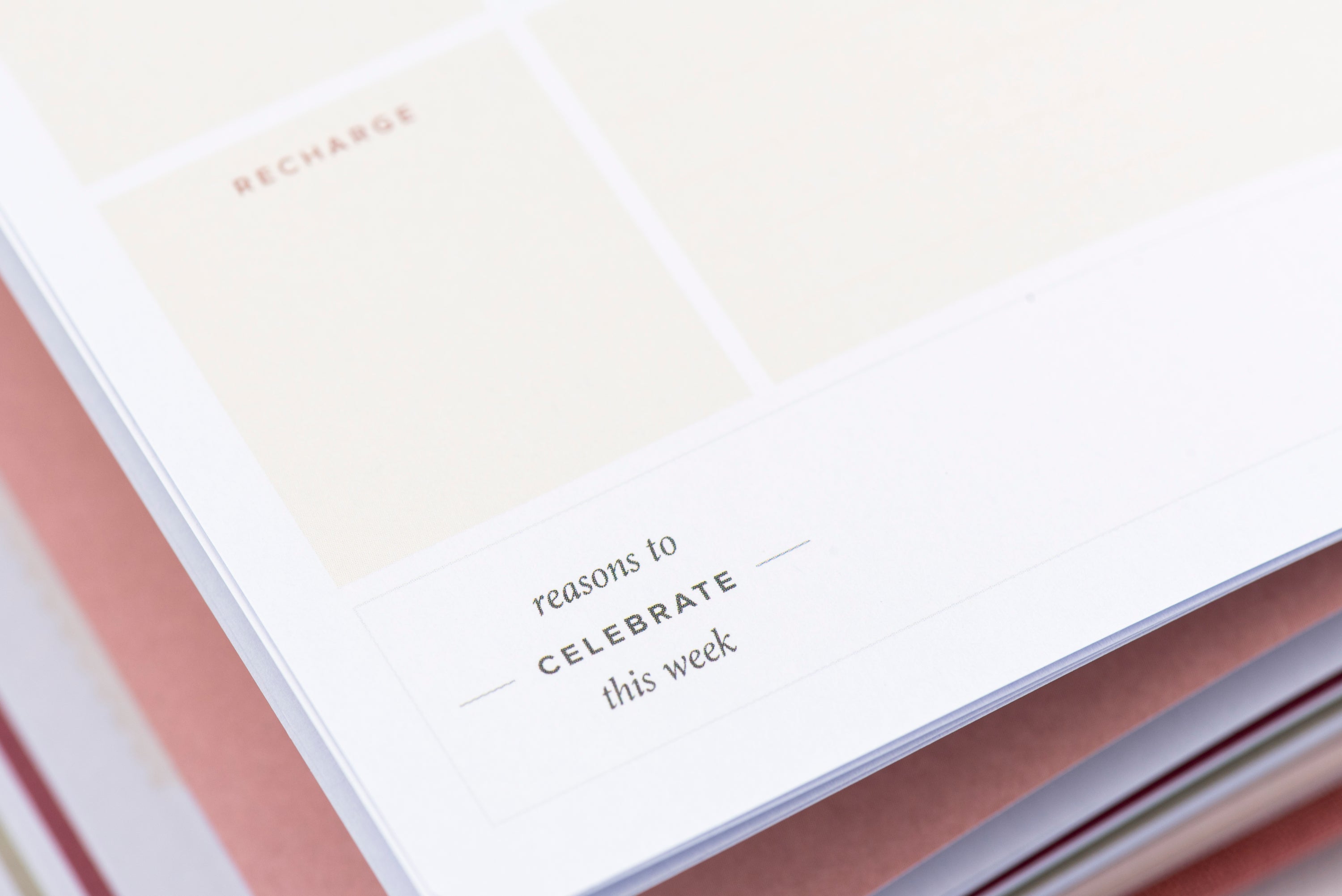 Undated Weekly Ponderlily Planner in Charcoal, featuring eco-friendly materials and elegant design.