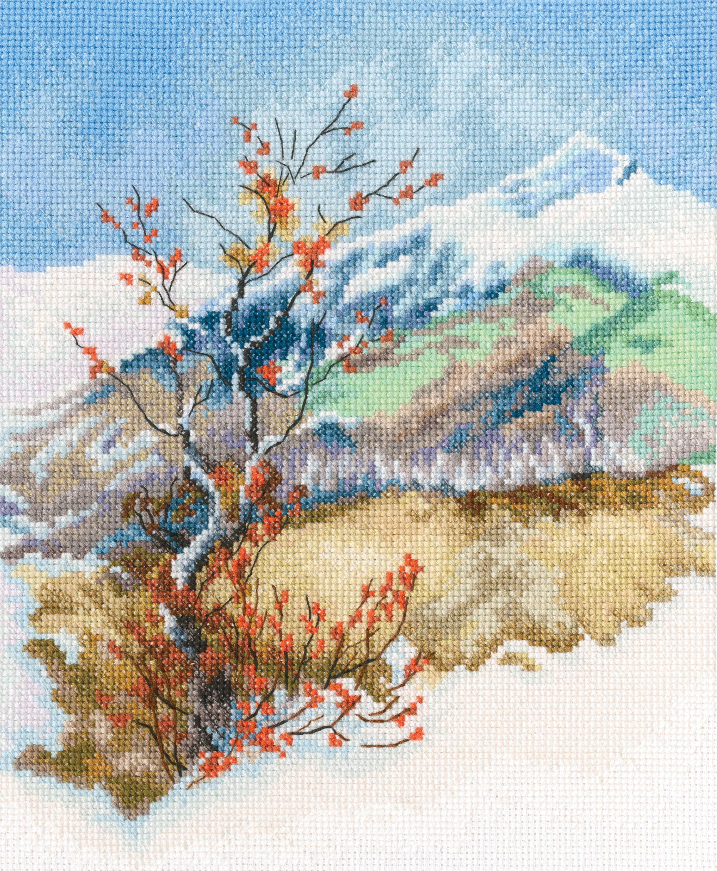 Wonderful North M937 Counted Cross Stitch Kit featuring Aida 14 canvas, cotton fabric, needle, and chart for embroidery.