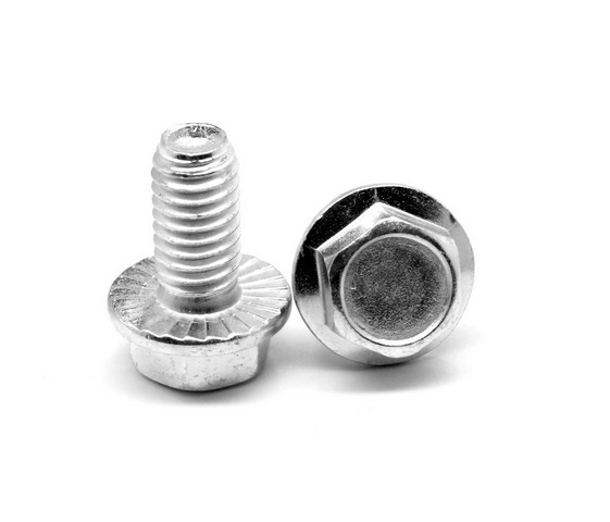 Two chrome hex flange bolts.
