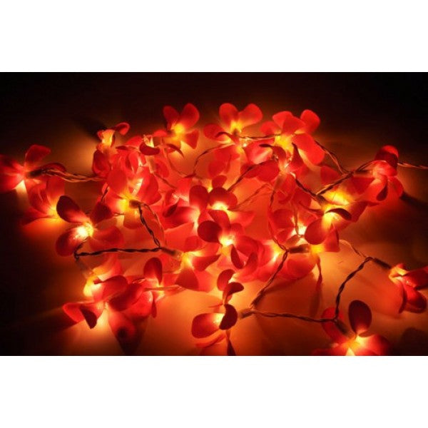 A set of 20 LED deep red frangipani flower string lights on a wire, perfect for decoration.