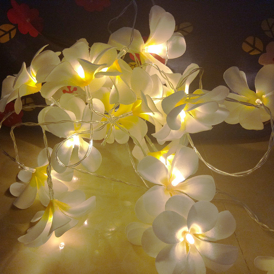 A set of 20 LED white frangipani flower string lights on a dark background, showcasing their delicate design and warm glow.