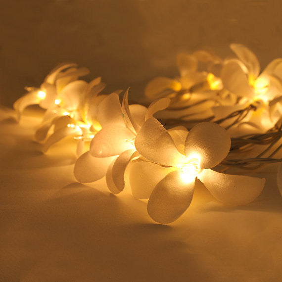 A set of 20 LED white frangipani flower string lights on a dark background, showcasing their delicate design and warm glow.
