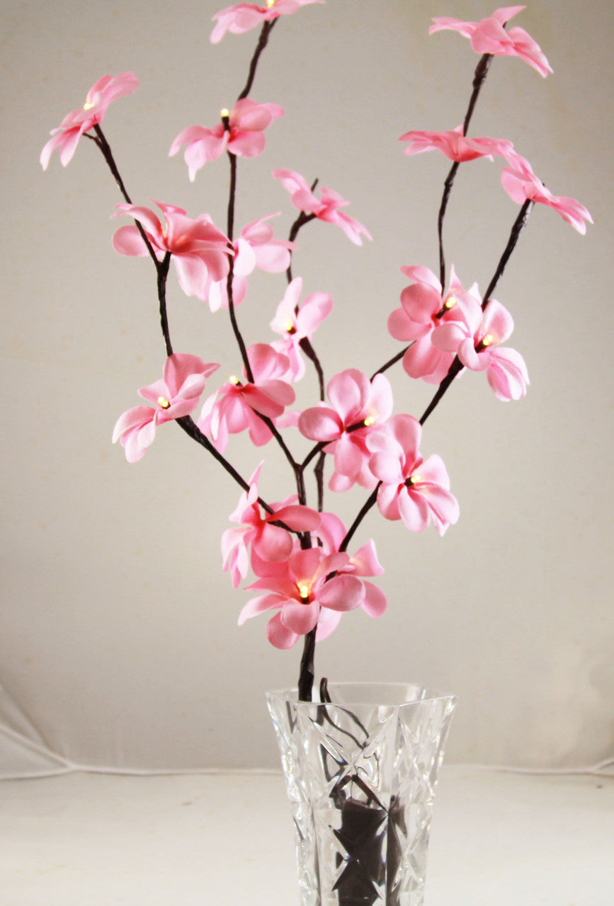 50cm LED Pink Frangipani Tree Branch Fairy Light with 20 flowers, perfect for home and outdoor decoration.