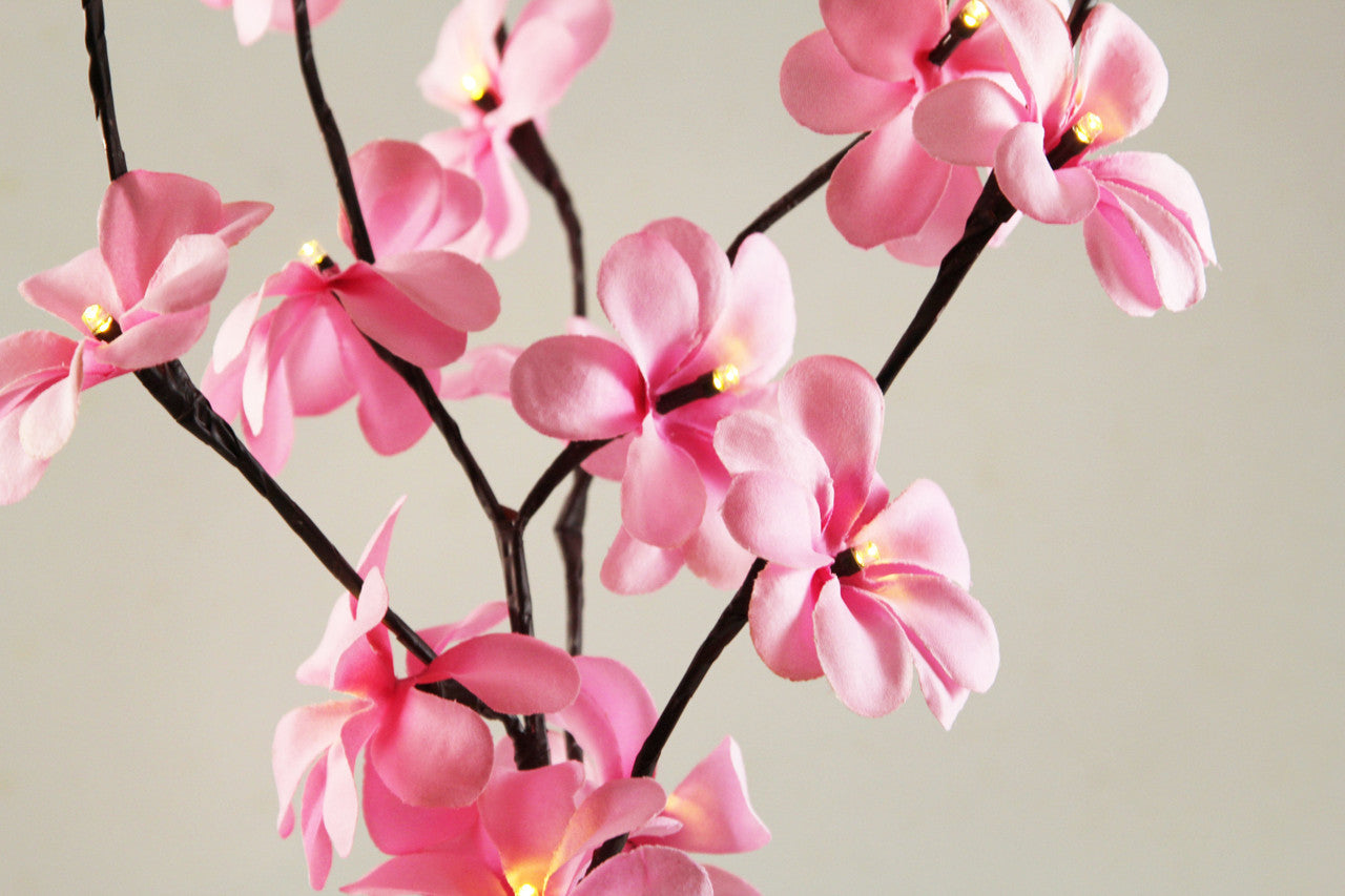 50cm LED Pink Frangipani Tree Branch Fairy Light with 20 flowers, perfect for home and outdoor decoration.