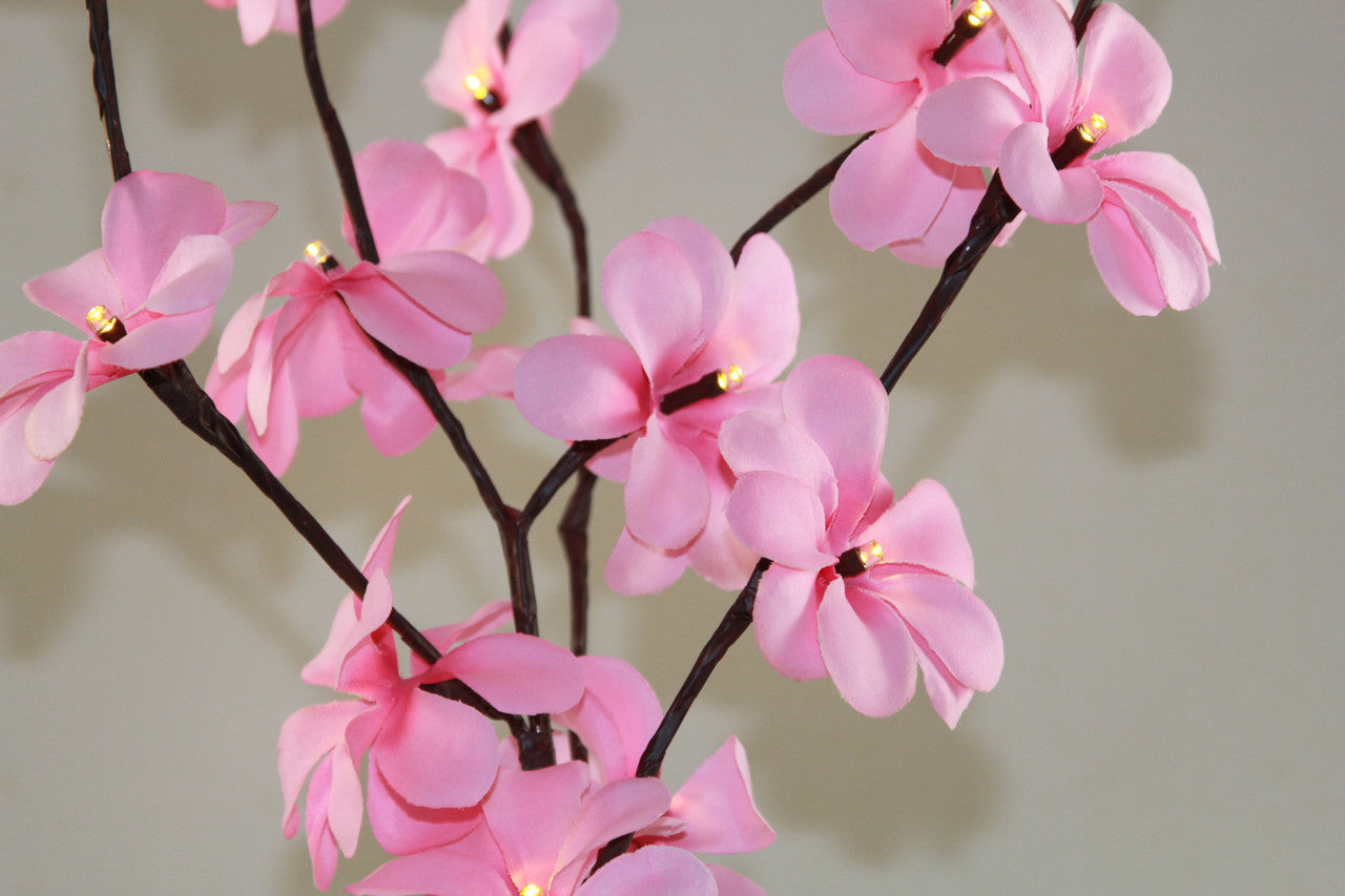 50cm LED Pink Frangipani Tree Branch Fairy Light with 20 flowers, perfect for home and outdoor decoration.