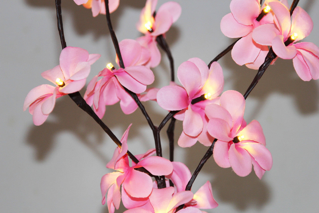 50cm LED Pink Frangipani Tree Branch Fairy Light with 20 flowers, perfect for home and outdoor decoration.