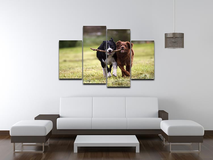 A vibrant 4-split canvas artwork featuring two Border Collie dogs fetching a stick in an open field, showcasing their playful nature.