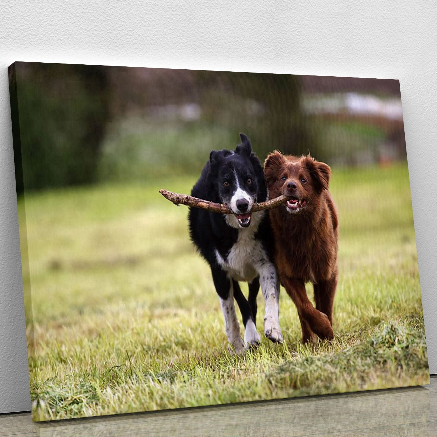 A vibrant canvas print of two border collie dogs joyfully fetching a stick in a lush open field, showcasing their playful nature.
