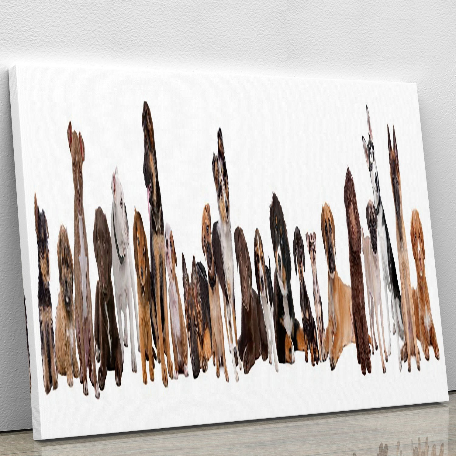 A canvas print featuring 22 adorable puppy dogs lined up in front of a white background, showcasing their playful expressions.