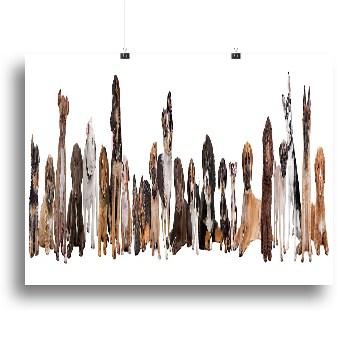 A canvas print featuring 22 adorable puppy dogs lined up in front of a white background, showcasing their playful expressions.