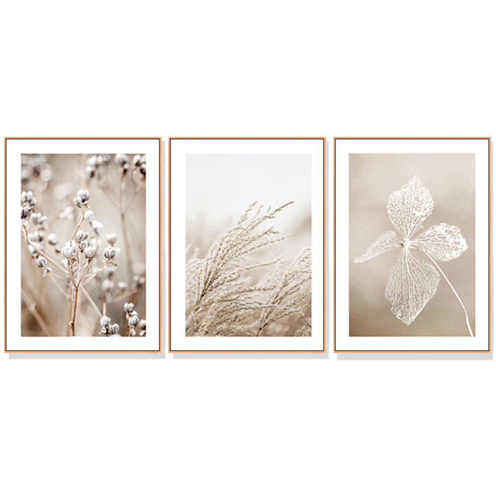 50cmx70cm dried flower canvas wall art framed in wood, showcasing vibrant colors and a floating effect.